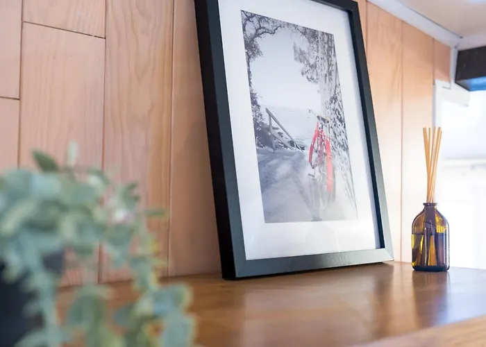 Romy - Cosy Et Clame Au Capitole Toulouse