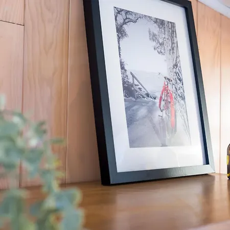 Romy - Cosy Et Clame Au Capitole Toulouse